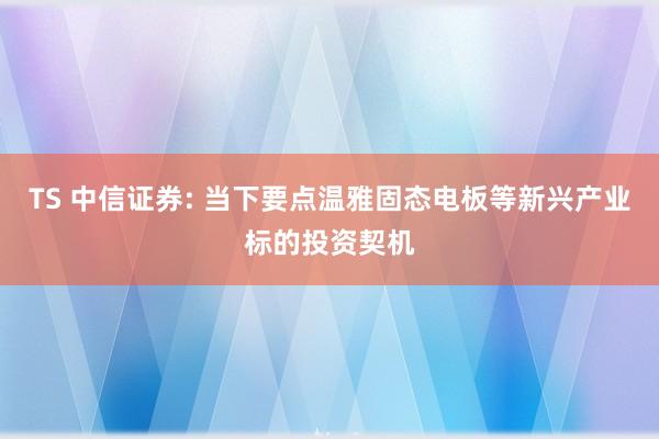 TS 中信证券: 当下要点温雅固态电板等新兴产业标的投资契机