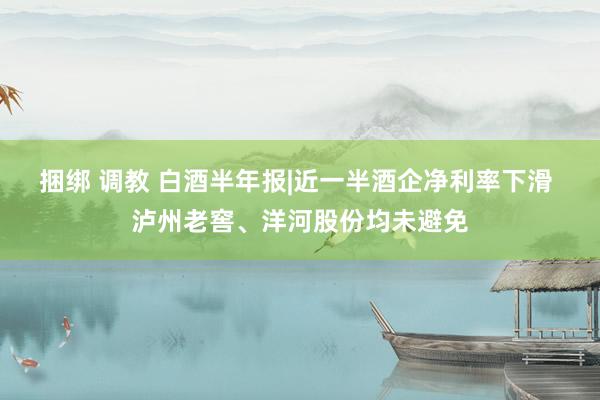 捆绑 调教 白酒半年报|近一半酒企净利率下滑 泸州老窖、洋河股份均未避免