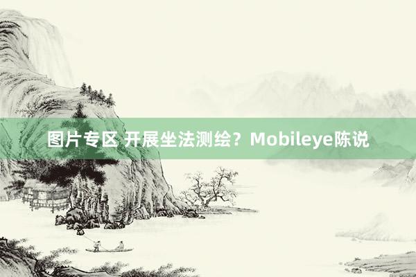 图片专区 开展坐法测绘？Mobileye陈说