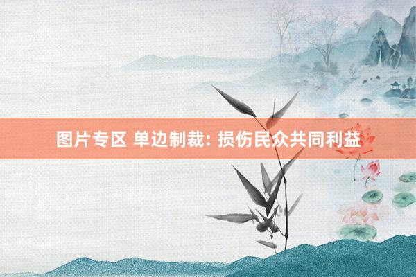 图片专区 单边制裁: 损伤民众共同利益
