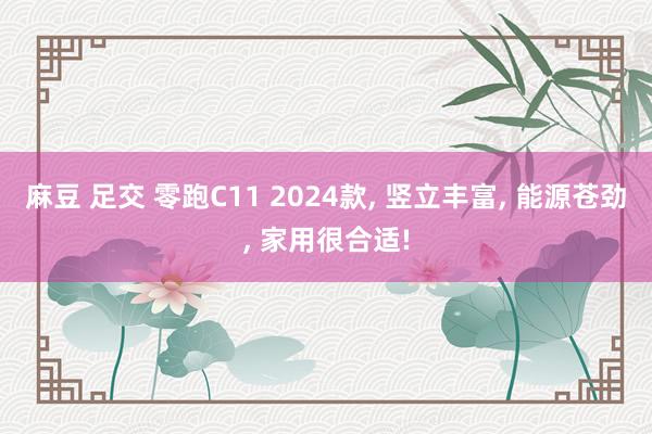 麻豆 足交 零跑C11 2024款， 竖立丰富， 能源苍劲， 家用很合适!