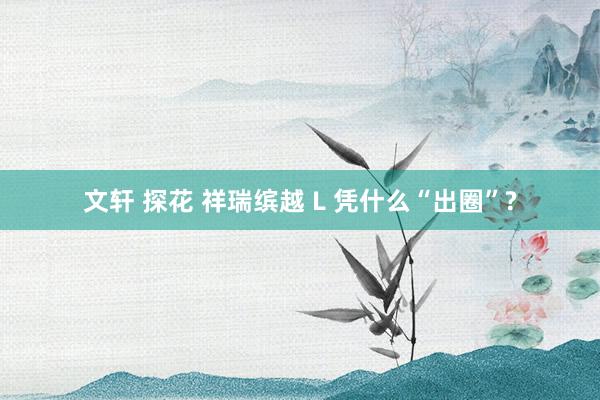 文轩 探花 祥瑞缤越 L 凭什么“出圈”?