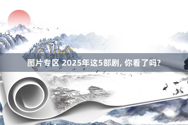 图片专区 2025年这5部剧， 你看了吗?