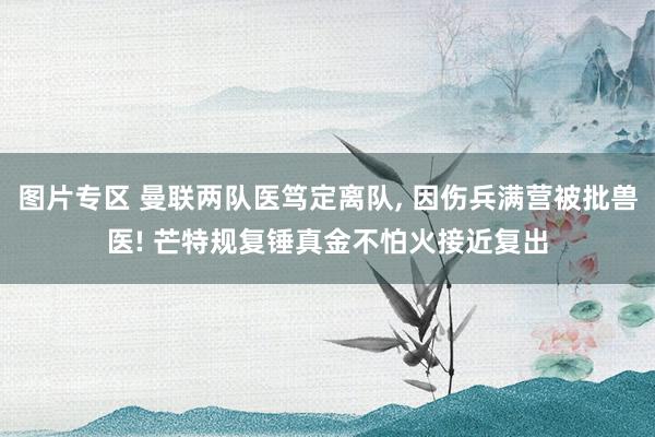 图片专区 曼联两队医笃定离队， 因伤兵满营被批兽医! 芒特规复锤真金不怕火接近复出